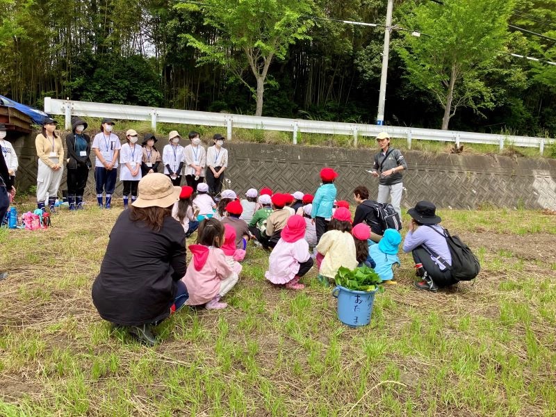 栄養学部の学生が太山寺小学校でサツマイモの定植作業を行いました