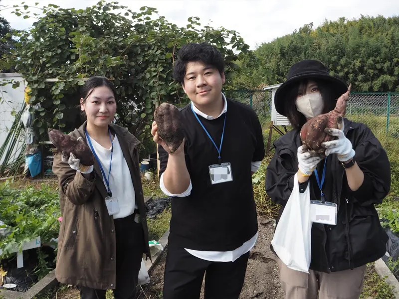 栄養学部の学生が太山寺小学校でサツマイモの収穫作業と食育授業を実施しました